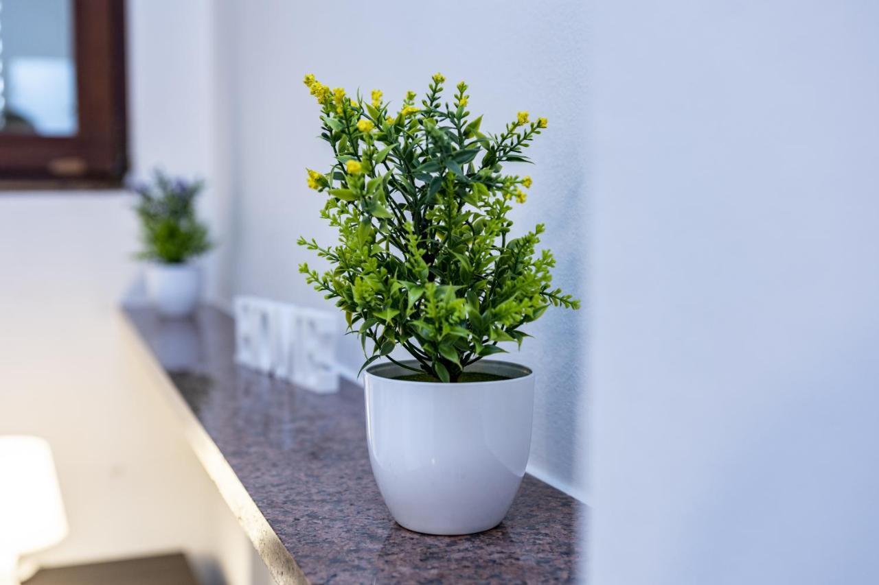 Santa Marta Apartments Milano Ngoại thất bức ảnh